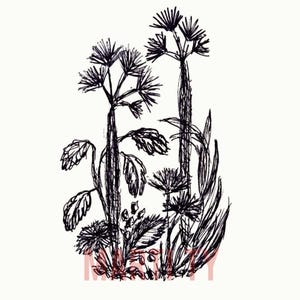 Arbres exotiques, impression pour t-shirt, fichier à téléchargement immédiat, article imprimable