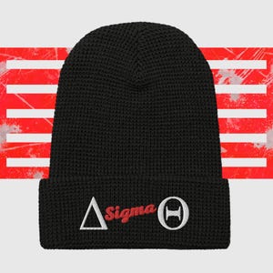 Delta Waffle beanie