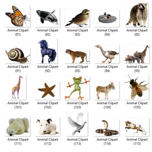 May include: A collection of 15 animal clipart images, including a monarch butterfly, a whale, a sparrow, a snail, a horse, a tiger, a goose, a rhinoceros, a giraffe, a starfish, a frog, a donkey, a bee, a polar bear, a dog, a dove, a snake, and a horse. The images are all in a grid format and are labeled with numbers.