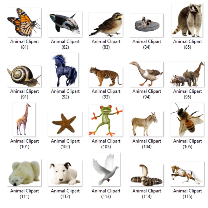 May include: A collection of 15 animal clipart images, including a monarch butterfly, a whale, a sparrow, a snail, a horse, a tiger, a goose, a rhinoceros, a giraffe, a starfish, a frog, a donkey, a bee, a polar bear, a dog, a dove, a snake, and a horse. The images are all in a grid format and are labeled with numbers.