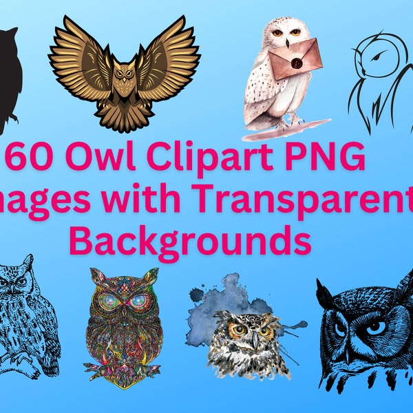 60 chouette Clipart PNG Images avec fond Transparent - haute qualité chouette PNG - dessins - dessin animé - contour - Silhouette - chouette photos