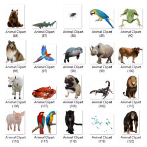 May include: A collection of animal clipart images, including a bear, shark, fly, parrot, frog, dog, bird, seal, rhinoceros, cow, white cow, crab, pug, scorpion, lion, pig, parrots, panther, and a monkey.