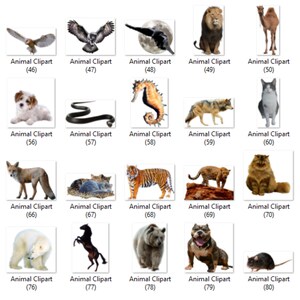 May include: A collection of animal clipart images, including a bird, owl, raven, lion, camel, dog, snake, seahorse, wolf, cat, fox, tiger, cheetah, cat, polar bear, horse, bear, dog, and mouse.