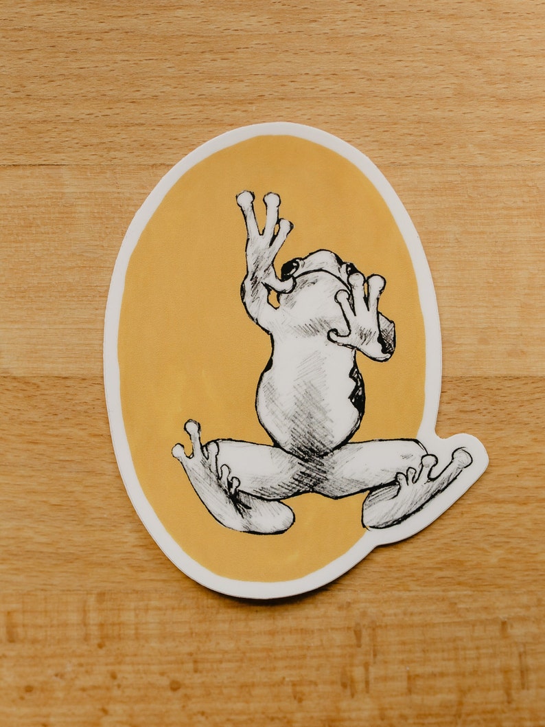 Frog Sticker Vinyl Sticker Laptop Sticker Waterproof Sticker Frog ...