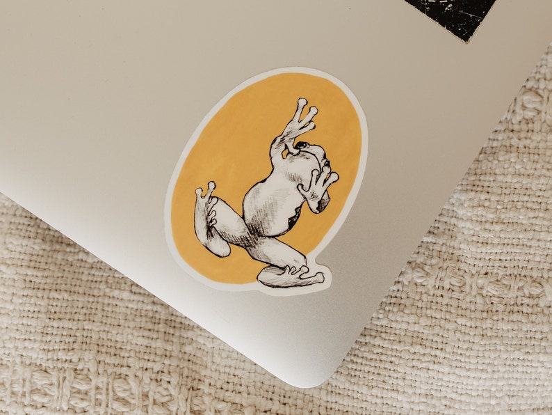 Frog Sticker | Vinyl Sticker | Laptop Sticker | Waterproof Sticker ...