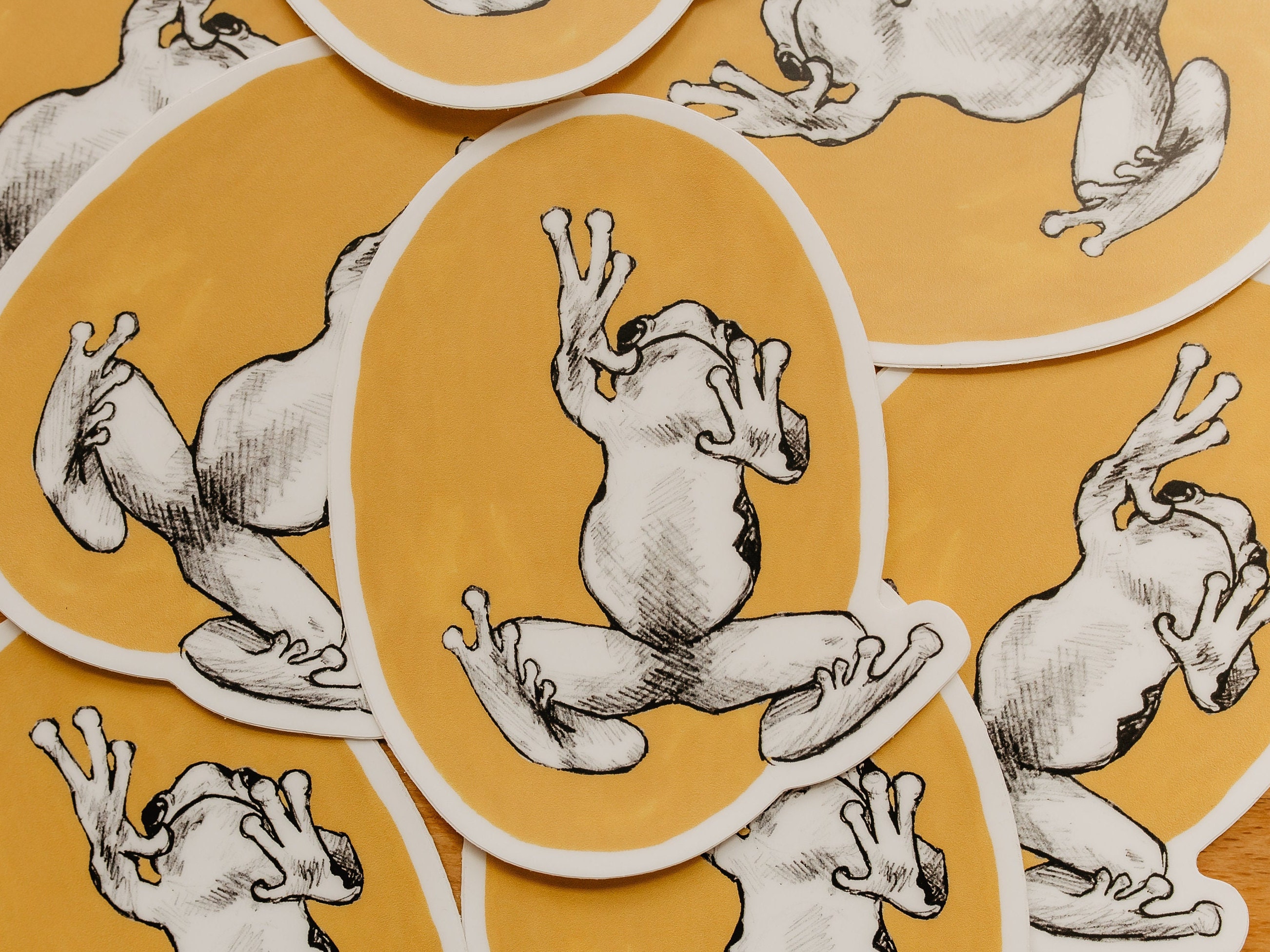 Frog Sticker | Vinyl Sticker | Laptop Sticker | Waterproof Sticker ...