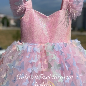 Pink dress, butterfly detailed dress ,Baby Girl Dress Special Occasion, First Birthday Dress, Baby Girl Party Dress, pink butterfly dress