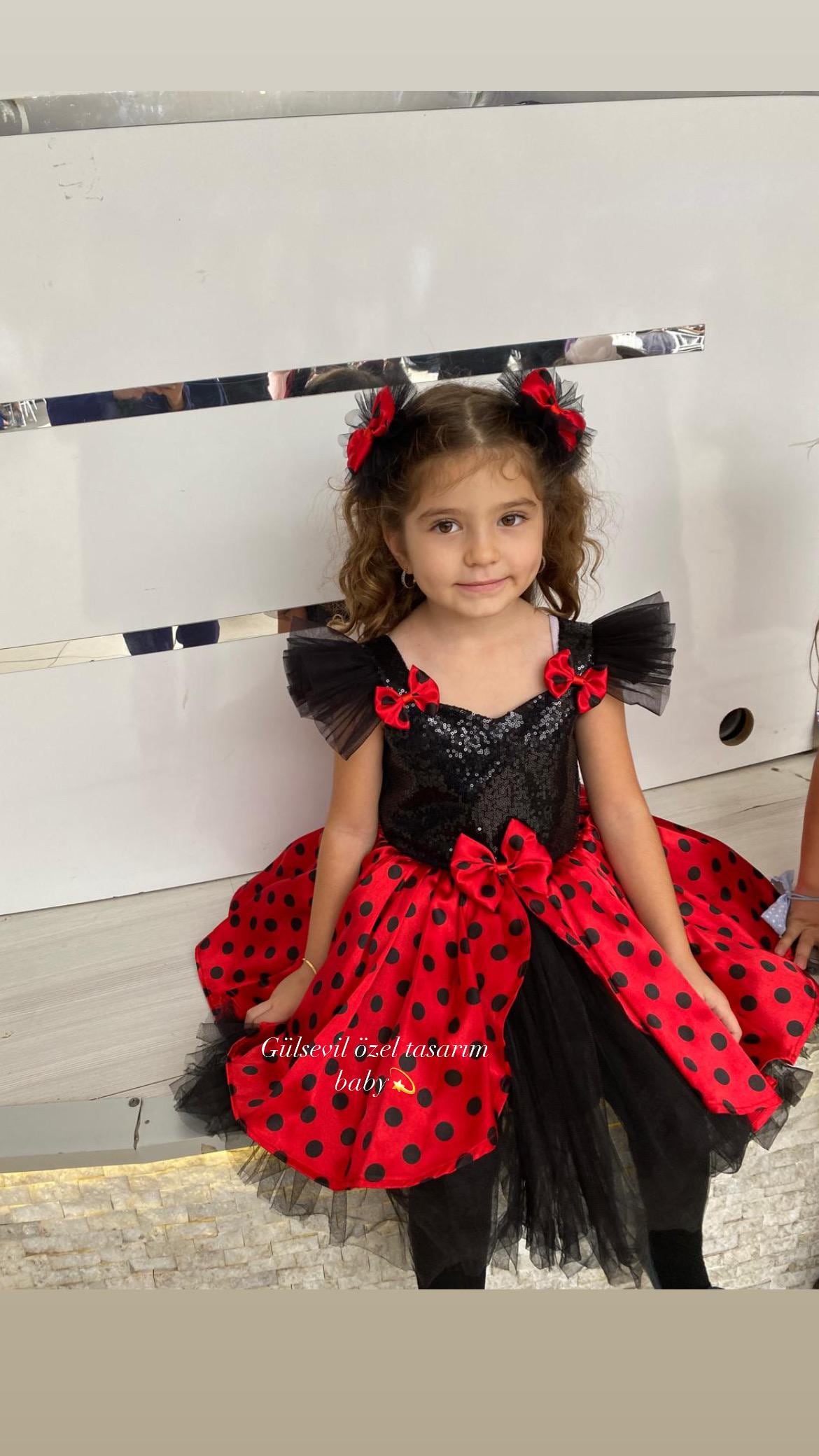 Handmade Ladybug Baby Girl Dress: Red Polka Dot Tulle Party Dress Handmade Ladybug Baby Girl Dress: Red Polka Dot Tulle Party Dress
