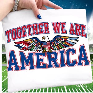 Könnte beinhalten: Weißes Kissen mit dem Text "TOGETHER WE ARE AMERICA" in Rot und Blau. Ein Adler mit Flügeln, die verschiedene Flaggen zeigen, ist unter dem Text zentriert. Das Kissen wird von einer Person gehalten.