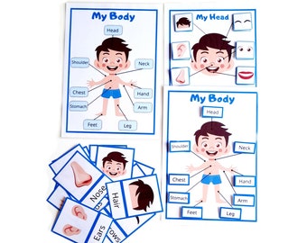 Body Parts Activity for Kids