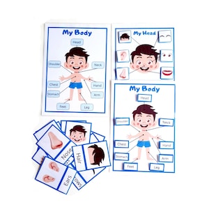 Body Parts Activity for Kids