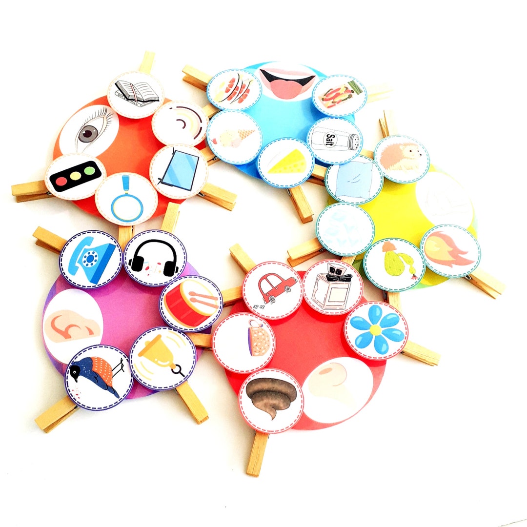 Five Senses Sorting Activity Printable, 5 Senses Sorting, Five Senses ...