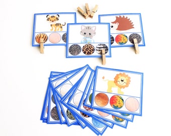 Correspondance de la peau des animaux, motricité fine