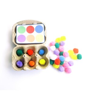 Color Activity With Pompoms and Fine Motor Skills Worksheet for ...