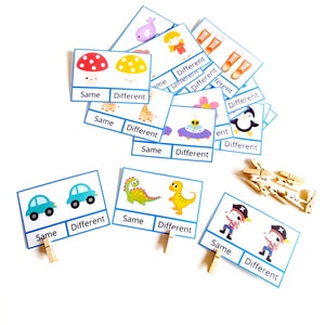 Printable Cards Same or Different Activity for Toddlers and ...
