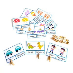 Printable Cards Same or Different Activity for Toddlers and ...