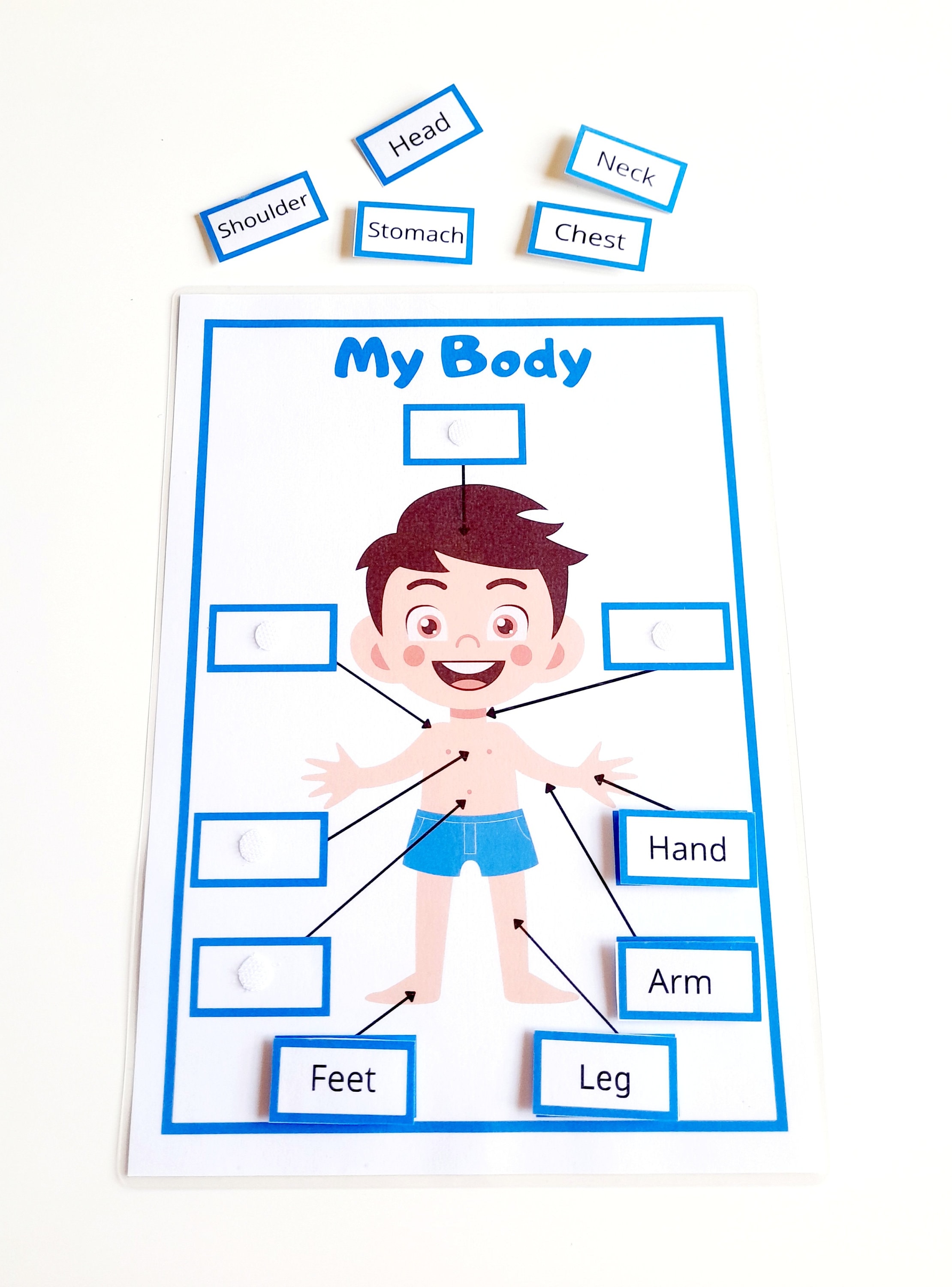 Body Parts Activity for Kids - Etsy