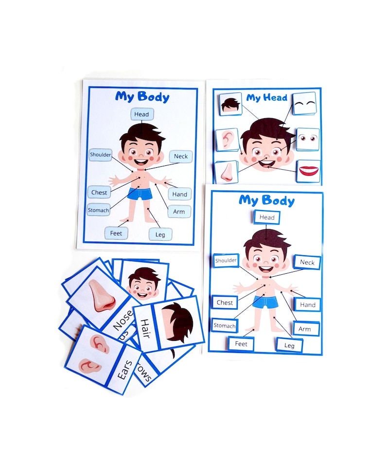 Body Parts Activity for Kids image 1