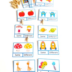 Printable Cards Same or Different Activity for Toddlers and ...