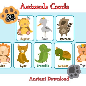 Animals Cards, Montessori flashcards, Pre-School Cards, Educational Printable Cards.