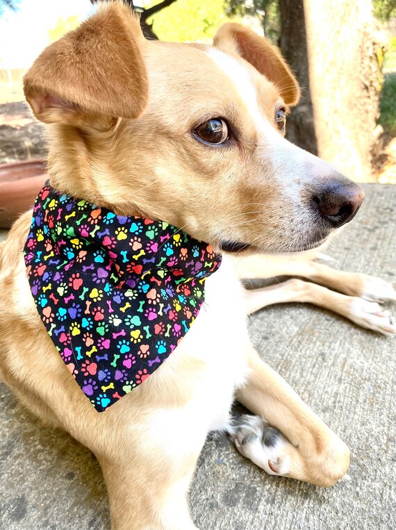 Personalized Dog Bandana Free Custom Name Pet Bandana Over the