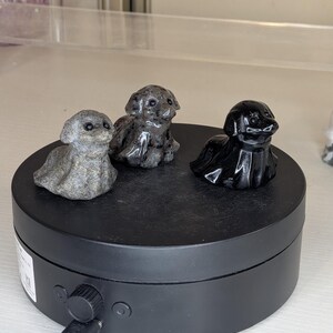 May include: Three small dog figurines carved from stone, positioned on a black rotating display stand. One figurine is light gray with a speckled texture, one is dark gray with mottled patterns, and the third is a smooth, polished solid black stone.