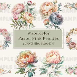 24 Watercolor Peonies Clipart, PNG, Peony Flowers Clipart, Floral Bouquet Illustration, Peony Bouquet, Wedding Invitation, Commercial Use