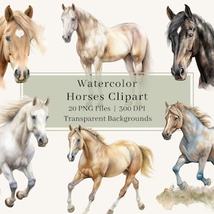 Clipart di 20 cavalli, PNG, bundle di clipart di cavalli ad acquerello, clipart di animali, illustrazioni di cavalli al galoppo, arte della parete, download, uso commerciale