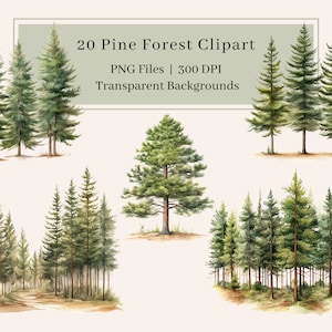 20 Clipart foresta, PNG, Clipart foresta di pini acquerello, Clipart alberi di pino, Arte della parete, Scena forestale, Sentiero escursionistico, Bosco, Uso commerciale