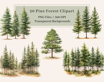 20 Forest Clipart, PNG, Watercolor Pine Forest Clipart, Pine Trees Clipart, Wall Art, Forest Scene, Hiking Trail, Woodland, Commercial Use