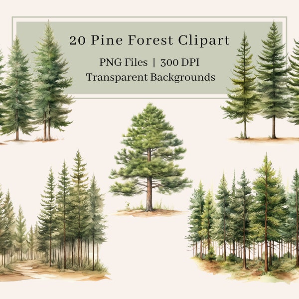 20 Forest Clipart, PNG, Watercolor Pine Forest Clipart, Pine Trees Clipart, Wall Art, Forest Scene, Hiking Trail, Woodland, Commercial Use