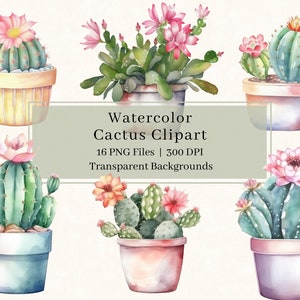16 clipart de cacto, PNG, aquarela cactus clipart, ilustração de plantas, vegetação, arte de parede, criação de cartões, uso comercial