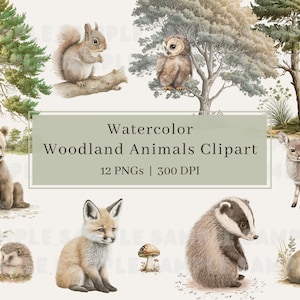 12 clipart de animais da floresta, PNG, clipart de animais da floresta em aquarela, arte de parede de berçário, raposa, coelho, urso, coruja, clipart de animais, uso comercial