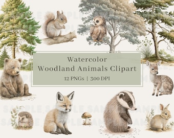 Könnte beinhalten: Aquarell-Clipart-Set mit Waldtieren, darunter ein Bär, ein Fuchs, ein Dachs, ein Eichhörnchen, eine Eule, ein Reh, ein Igel, ein Kaninchen und ein Pilz. Die Illustrationen sind in einer weichen, gedeckten Farbpalette gehalten und haben einen verspielten Charakter.