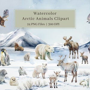 24 acuarela animales árticos clipart, PNG, animales de nieve, arte de la pared, foca, pingüino, zorro ártico, reno, lindos animales bebés, uso comercial