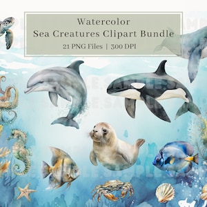 21 aquarel zeedieren clipart, PNG, Sealife, kunst aan de muur, schildpad, octopus, dolfijn, zeehond, walvis, schattige oceaandieren, commercieel gebruik