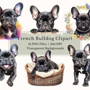 12 clipart de buldogue francês, PNG, pacote de clipart de cachorro em aquarela, cachorro francês, arte de buldogue francês, clipart de cachorro, sublimação, uso comercial