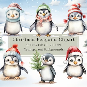 16 Clipart de pinguim de Natal PNG, clipart de pinguins de Natal em aquarela, pinguim de Natal, cartão de Natal, sublimação de imagem, uso comercial