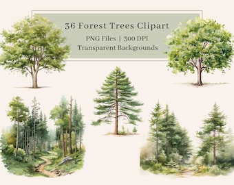 36 Watercolor Forest Trees Clipart, PNG, Pine Forest Clipart, Trees Clipart, Forest Scene, Tree images, Woodland Clipart, Commercial Use