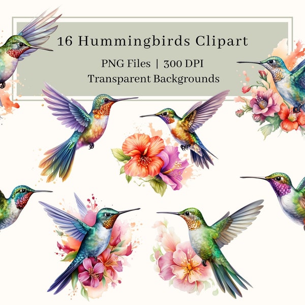 16 Hummingbirds Clipart, PNG, Watercolor Hummingbirds Images Bundle, Hummingbird PNG, Hummingbird Illustrations, Wall Art, Commercial Use
