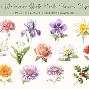 25 Imágenes Prediseñadas de flores del mes de nacimiento, PNG, imágenes prediseñadas de flores de nacimiento de acuarela, ilustración floral, bricolaje, tarjeta de cumpleaños, uso comercial