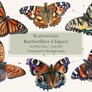 18 Schmetterlinge Clipart, PNG, Aquarell Schmetterling Clipart, Insekt Clipart, Schmetterling Bundle Illustrationen, Instant Download, kommerzielle Nutzung