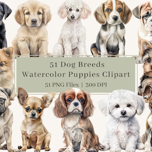 51 Perros Clipart, PNG, Paquete de imágenes prediseñadas de cachorro de acuarela, mascota, cachorros, Bulldog francés, Labrador, Retriever, Caniche, Terrier, Uso comercial