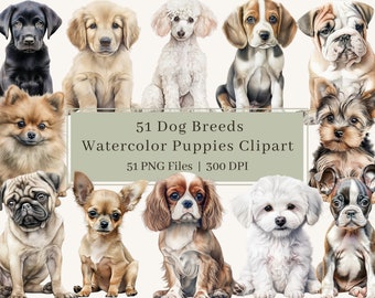 51 Dogs Clipart, PNG, Watercolor Puppy Clipart Bundle, Pet, Puppies, French Bulldog, Labrador, Retriever, Poodle, Terrier, Commercial Use