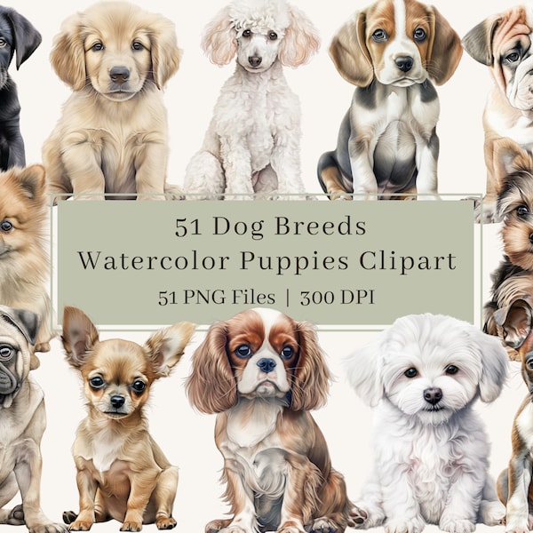 51 honden clipart, PNG, aquarel puppy clipart bundel, huisdier, puppies, Franse bulldog, labrador, retriever, poedel, terriër, commercieel gebruik