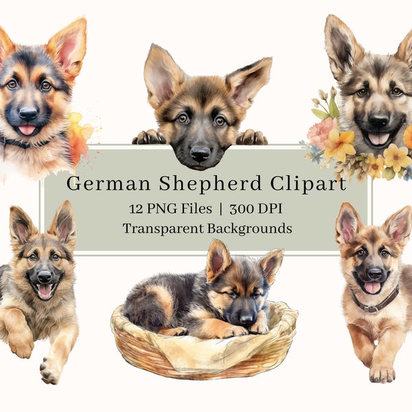 12 German Shepherd Clipart, PNG, Watercolor Alsatian Puppy Clipart Bundle, German Shepherd Art, Dog Clipart, Sublimation, Commercial Use