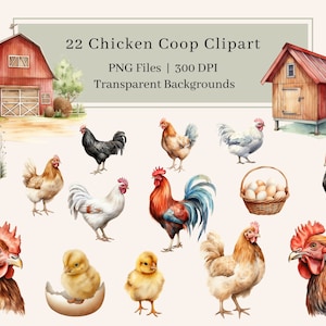 22 Kurczaki Clipart, PNG, Akwarela Kurnik Clipart Bundle, Kogut Clipart, Ilustracje Koguta, Sztuka Ścienna, Pobierz, Użytek Komercyjny