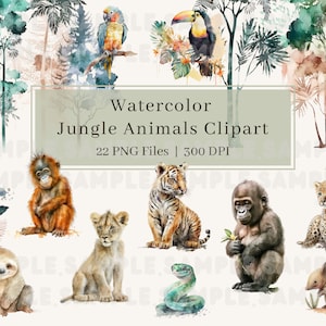 Clipart aquarelle animaux de la jungle, PNG, bébés animaux de la jungle : singe, gorille, paresseux, tigre pour fête d'enfants, décoration de chambre d'enfant, scrapbooking