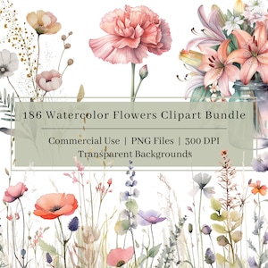 186 Pacote de clipart de flores em aquarela, PNG, clipart de flores do mês de nascimento em aquarela, ilustração floral, buquê de flores, uso comercial