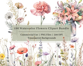 186 Watercolor Flowers Clipart Bundle, PNG, Watercolor Birth Month Flowers Clipart, Floral Illustration, Flower Bouquet, Commercial Use